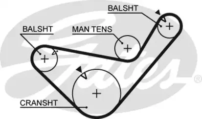 5456XS GATES Ремень ГРМ