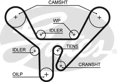 5518XS GATES Ремень ГРМ