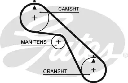 5530XS GATES Ремень ГРМ