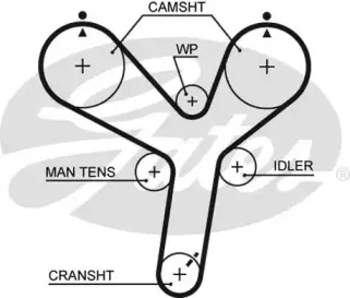 5536XS GATES Ремень ГРМ