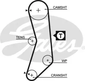 5544XS GATES Ремень ГРМ