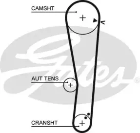 5568XS GATES Ремень ГРМ