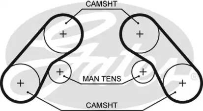 5576XS GATES Ремень ГРМ