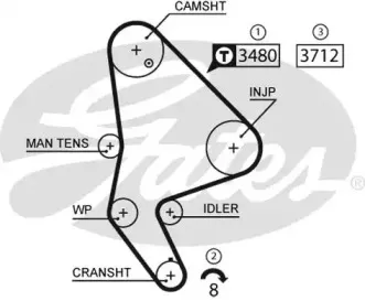 5590XS GATES Ремень ГРМ