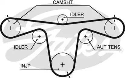 5594XS GATES Ремень ГРМ