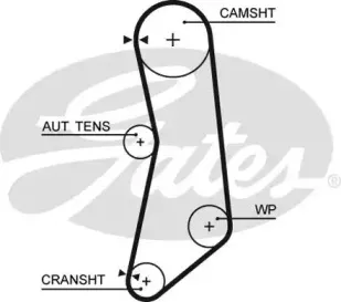 5626XS GATES Ремень ГРМ