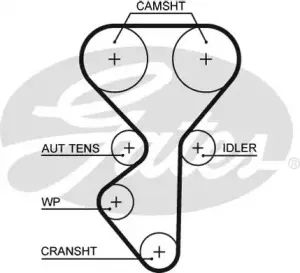 5631XS GATES Ремень ГРМ