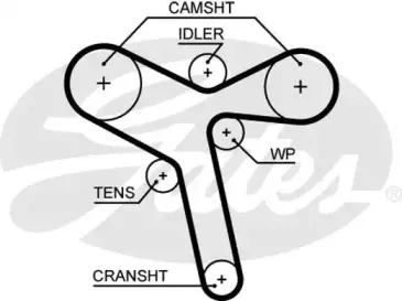 5647XS GATES Ремень ГРМ