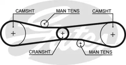 T275 GATES Ремень ГРМ