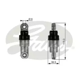 T38218 GATES
