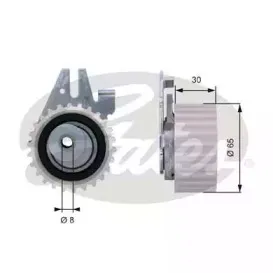T43024 GATES