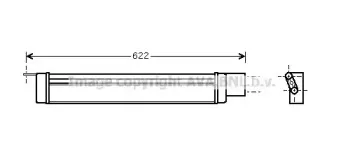 prasco-bw3266