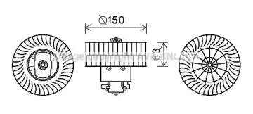 prasco-bw8488