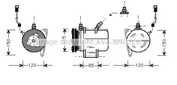 prasco-bwk016