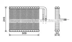 prasco-bwv402