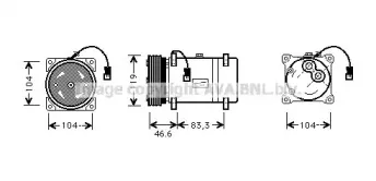prasco-cnk216