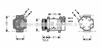 prasco-cnk238