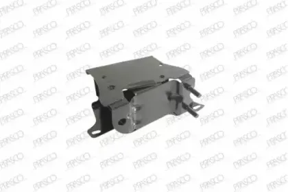 prasco-ds0051004