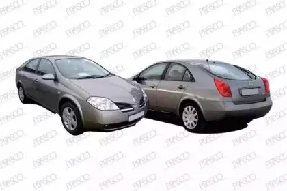 prasco-ds522w024