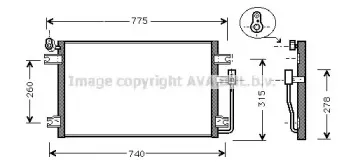 prasco-dw5031