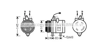 prasco-dwk096