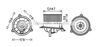 prasco-fd8495