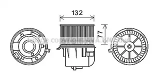 prasco-fd8572