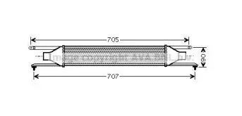 prasco-ft4319