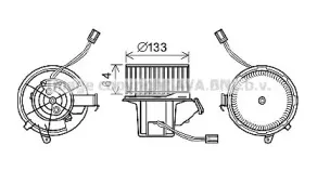 prasco-ms8628