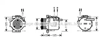 prasco-msk456