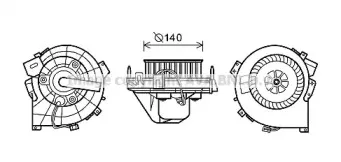 prasco-ol8609