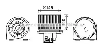 prasco-ol8619