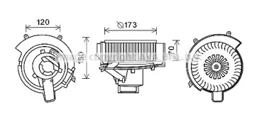 prasco-ol8637