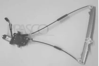 prasco-pg039w021