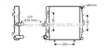 prasco-pr2055