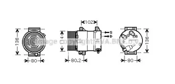 prasco-rtk381