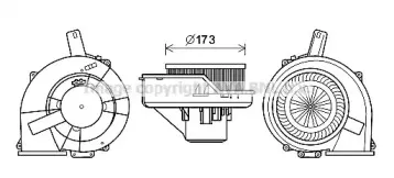 prasco-st8047