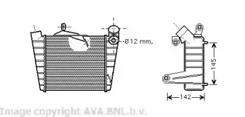 prasco-vw4213