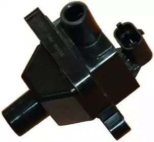 hoffer-8010378