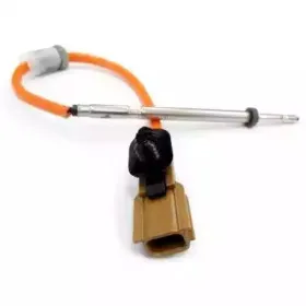 hoffer-7451900