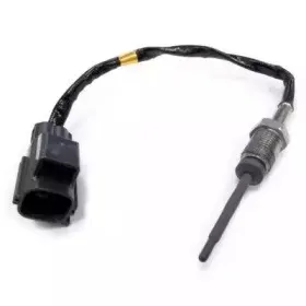 hoffer-7451914
