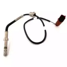 hoffer-7451920