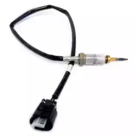 hoffer-7452024