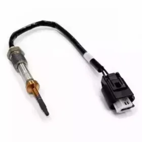 hoffer-7452025