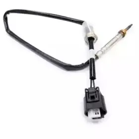 hoffer-7452026