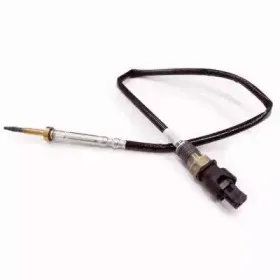 hoffer-7452029