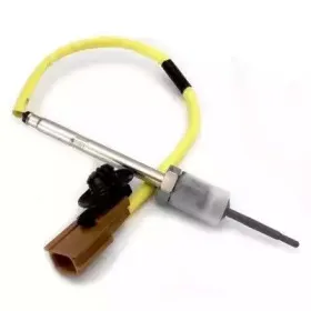 hoffer-7452069