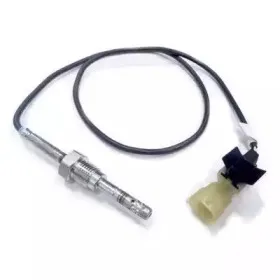 hoffer-7452075