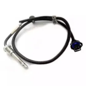 hoffer-7452083