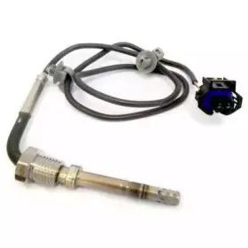 hoffer-7452084